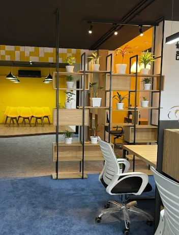 Selopia reel placeholder